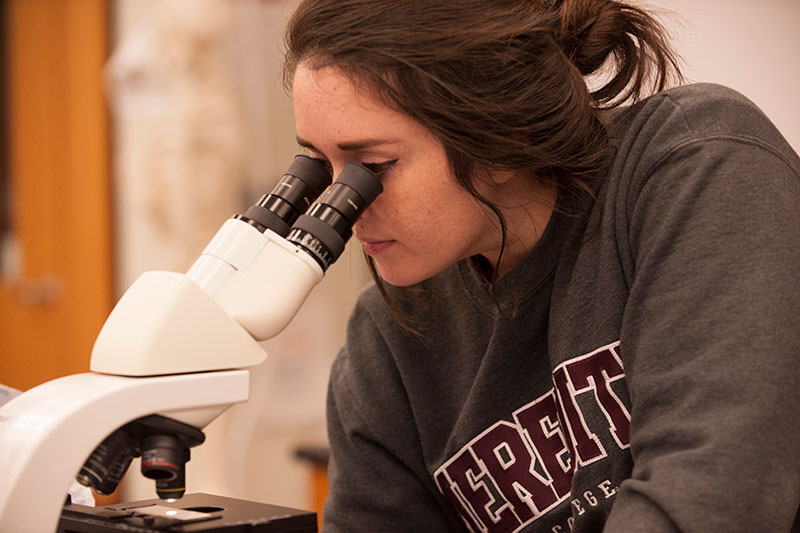 A student with a grey Meredith College sweatshirt on looking into a microscope